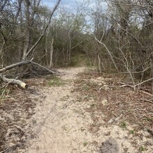 Vincenzo Maisano - Staten Island Perimeter (NY)