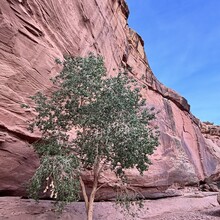 KELLY JEPPESEN, Kory Kowallis - White Canyon Utah - Full Length