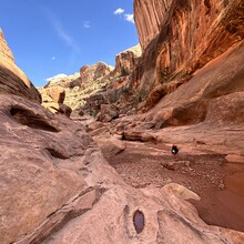 KELLY JEPPESEN, Kory Kowallis - White Canyon Utah - Full Length