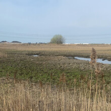 Vincenzo Maisano - Staten Island Perimeter (NY)