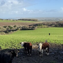 Sarah Whyman-Davis, Victor Whyman-Davis - St Michael's Way (United Kingdom)