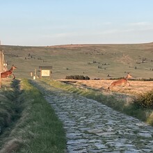 Filip Maryško - Black Snowy Mountain / Černá Sněžka (Czechia)