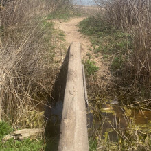 Vincenzo Maisano - Staten Island Perimeter (NY)