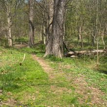 Vincenzo Maisano - Staten Island Perimeter (NY)