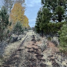 Aaron Tucker - OC&E Rail Trail (OR)