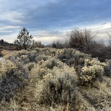 Aaron Tucker - OC&E Rail Trail (OR)