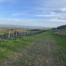Felix Thölkes, Leonard Hasselbeck - Kapellen-Pilgerweg