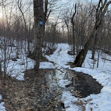 Amber Constant - Taconic Crest Trail (NY, MA)