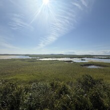 Dan West - Plum Island - out and back (MA)