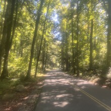 Stosh Wojcik - Downtown Gatlinburg to Cliff Tops Vertical Mile Out & Back