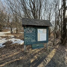 Amber Constant - Taconic Crest Trail (NY, MA)