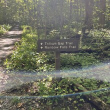 Stosh Wojcik - Downtown Gatlinburg to Cliff Tops Vertical Mile Out & Back