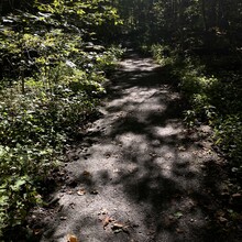 Stosh Wojcik - Downtown Gatlinburg to Cliff Tops Vertical Mile Out & Back
