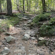 Stosh Wojcik - Downtown Gatlinburg to Cliff Tops Vertical Mile Out & Back