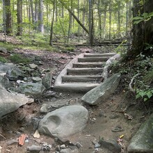 Stosh Wojcik - Downtown Gatlinburg to Cliff Tops Vertical Mile Out & Back