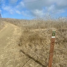 Bradley English - Los Angeles County: Schabarum-Skyline Trail (CA)