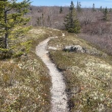 Brandon McCluskey - Bluff Wilderness Hiking Trail (NS, Canada)