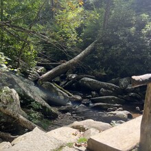 Stosh Wojcik - Downtown Gatlinburg to Cliff Tops Vertical Mile Out & Back