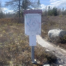 Brandon McCluskey - Bluff Wilderness Hiking Trail (NS, Canada)