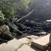 Stosh Wojcik - Downtown Gatlinburg to Cliff Tops Vertical Mile Out & Back