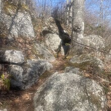 Brandon McCluskey - Bluff Wilderness Hiking Trail (NS, Canada)