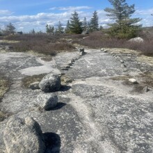Brandon McCluskey - Bluff Wilderness Hiking Trail (NS, Canada)