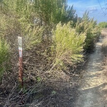 Bradley English - Los Angeles County: Schabarum-Skyline Trail (CA)