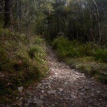 Stosh Wojcik - Downtown Gatlinburg to Cliff Tops Vertical Mile Out & Back