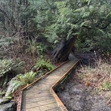 Carlton Wilson - Seattle Olmsted 50k