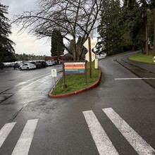 Carlton Wilson - Seattle Olmsted 50k