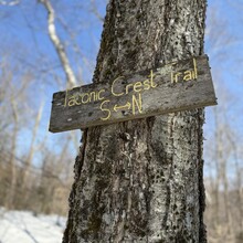 Amber Constant - Taconic Crest Trail (NY, MA)