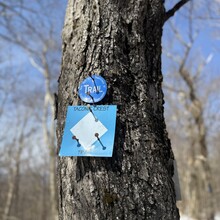 Amber Constant - Taconic Crest Trail (NY, MA)