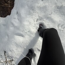 Amber Constant - Taconic Crest Trail (NY, MA)