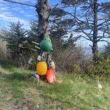 Brandon McCluskey - Lighthouse Trail (NB, Canada)