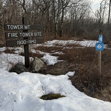 Amber Constant - Taconic Crest Trail (NY, MA)