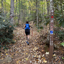 Teresa Bowser - Project Untamed 100 (NC)