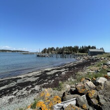 Brandon McCluskey - White Head Island Tour (NB, Canada)
