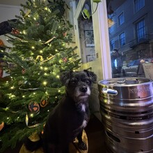 Dom Halbert, Christina 'Lexi' Halbert - Wimpole Way (United Kingdom)