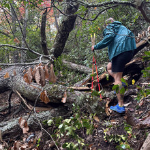 Teresa Bowser - Project Untamed 100 (NC)
