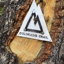 Dena Carr - Colorado Trail (CO)