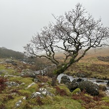 Justin Nicholas - Dartmoor 500 (United Kingdom)