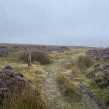 Sue Lord - Pennine Way (UK)