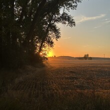Ria Xi - Camino de Santiago - Camino Francés (Spain)