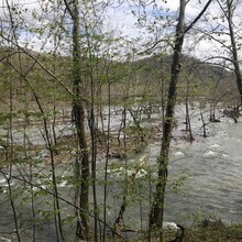 Michael Stowe - New River Trail (VA)