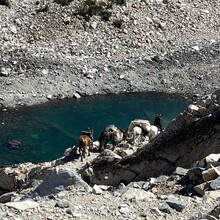 Holly Hoskins - Big SEKI Loop