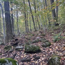 Alexandria Leveille - Sunapee Figure-8 (NH)