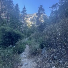 Darren Thomas - Grand Canyon of the Tuolumne (CA)