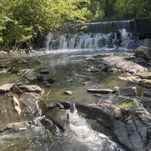 Vincenzo Maisano - Bronx River Pathway (NY)