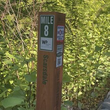 Vincenzo Maisano - Bronx River Pathway (NY)