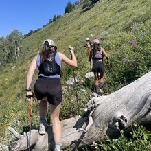 Maria Guy - Millwood 100 (UT)